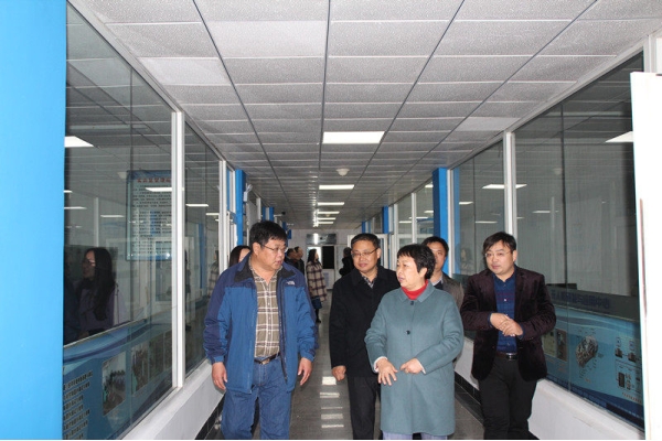 Duan Lingling, deputy director of the Hebei Agriculture and Rural Department, and his party inspected Hebei Zhifei Agricultural Technology Co., Ltd.
