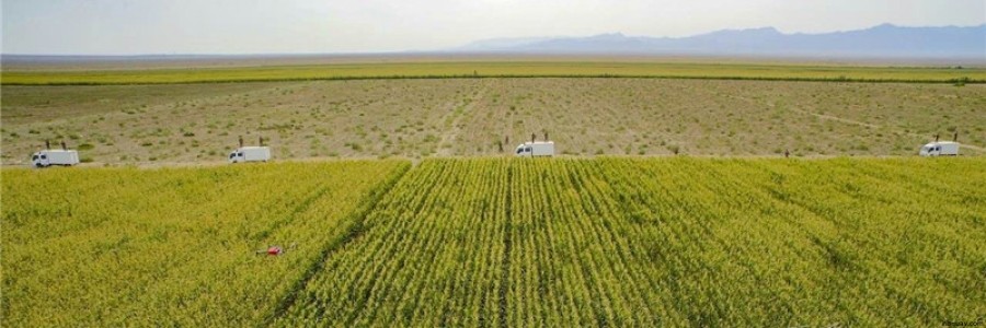 植保無人機如何突圍傳統農業