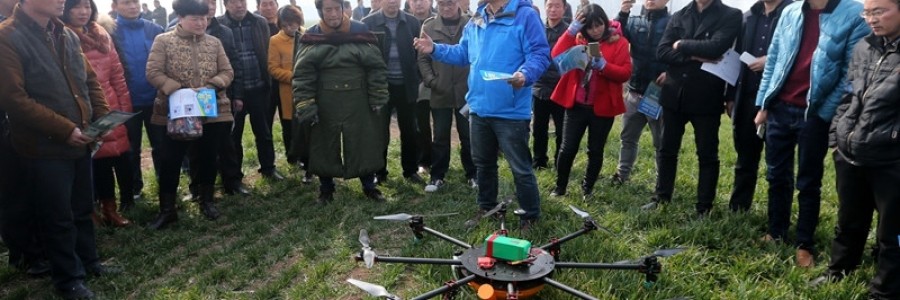 什么樣的航空植保企業才能主導市場？