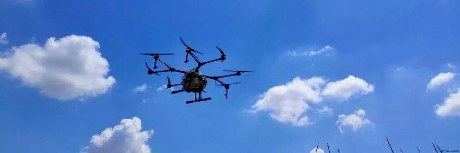 內(nèi)蒙古玉米紅蜘蛛蟲害大爆發(fā) 農(nóng)民從此相信無人機！